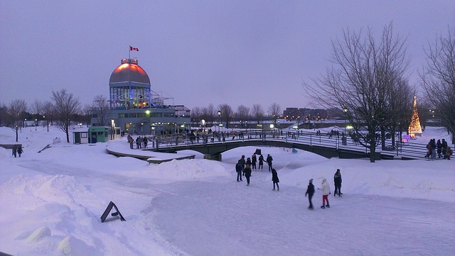 モントリオールの雪景色